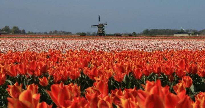 Vakantieverblijf Aan De Dijk Hotel Hippolytushoef Екстериор снимка