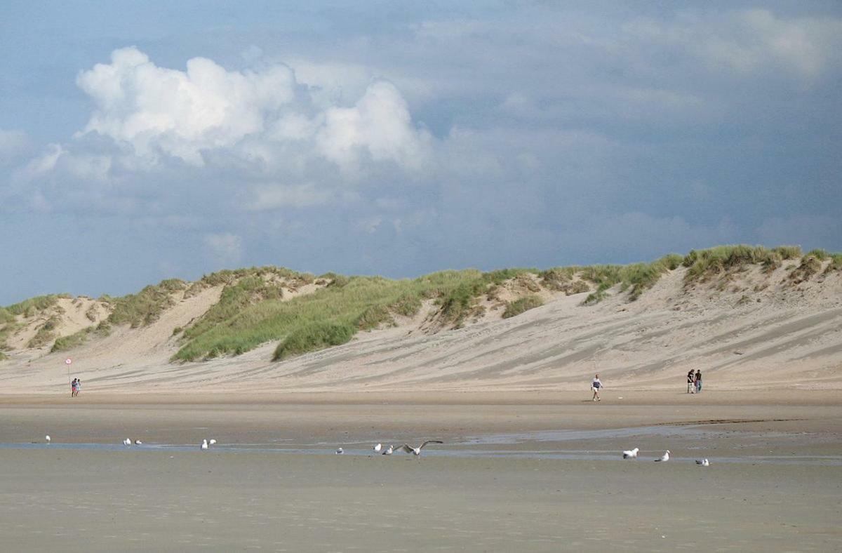Vakantieverblijf Aan De Dijk Hotel Hippolytushoef Екстериор снимка